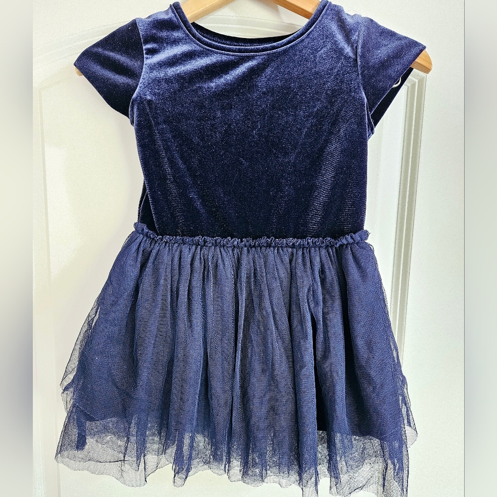 Falls Creek Velvet Tulle Dress